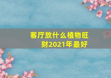 客厅放什么植物旺财2021年最好