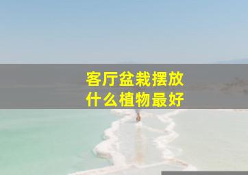 客厅盆栽摆放什么植物最好