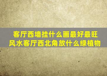 客厅西墙挂什么画最好最旺风水客厅西北角放什么绿植物