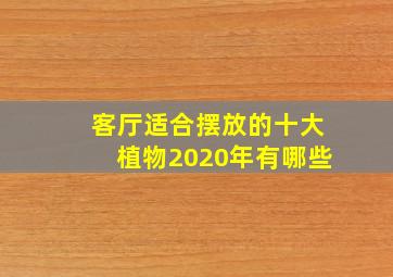 客厅适合摆放的十大植物2020年有哪些