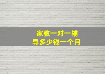 家教一对一辅导多少钱一个月