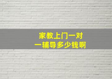 家教上门一对一辅导多少钱啊