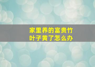 家里养的富贵竹叶子黄了怎么办