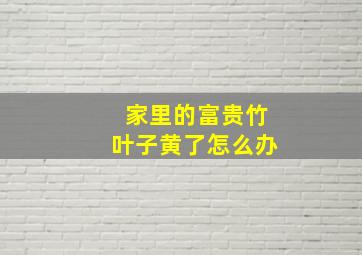 家里的富贵竹叶子黄了怎么办