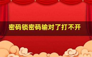 密码锁密码输对了打不开