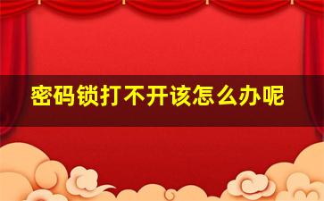 密码锁打不开该怎么办呢