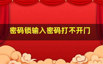 密码锁输入密码打不开门