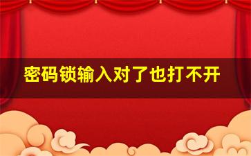 密码锁输入对了也打不开