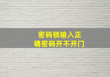 密码锁输入正确密码开不开门