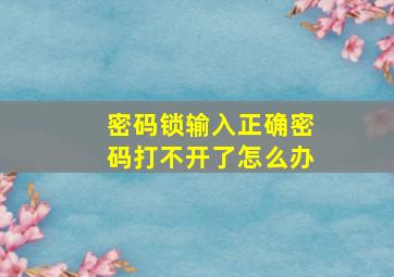 密码锁输入正确密码打不开了怎么办