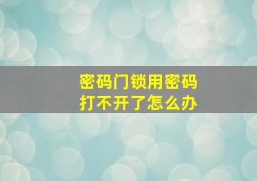 密码门锁用密码打不开了怎么办