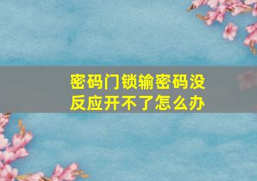 密码门锁输密码没反应开不了怎么办