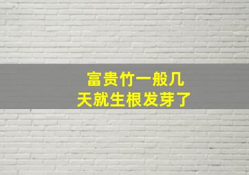 富贵竹一般几天就生根发芽了