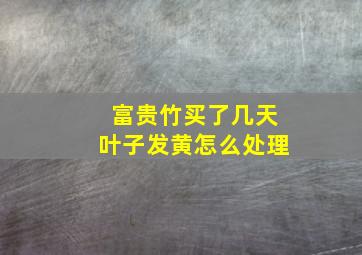 富贵竹买了几天叶子发黄怎么处理