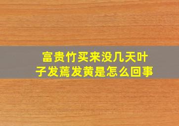 富贵竹买来没几天叶子发蔫发黄是怎么回事