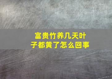 富贵竹养几天叶子都黄了怎么回事