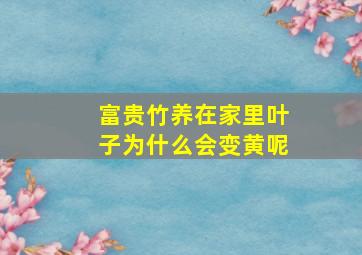 富贵竹养在家里叶子为什么会变黄呢