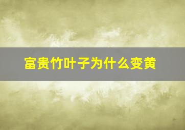 富贵竹叶子为什么变黄