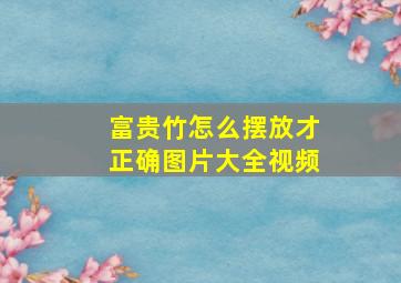 富贵竹怎么摆放才正确图片大全视频