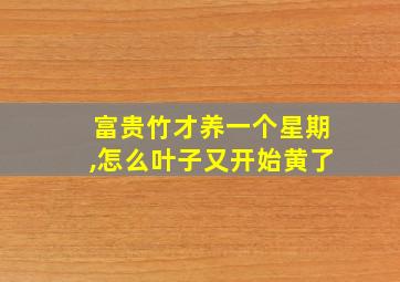 富贵竹才养一个星期,怎么叶子又开始黄了