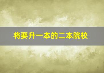 将要升一本的二本院校