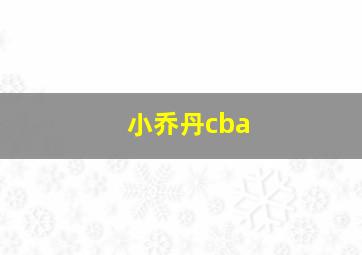 小乔丹cba