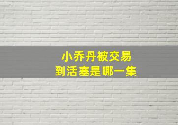 小乔丹被交易到活塞是哪一集