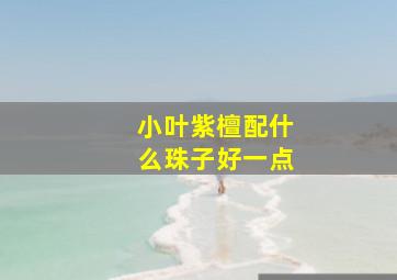 小叶紫檀配什么珠子好一点