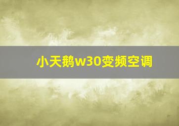 小天鹅w30变频空调