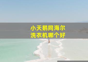 小天鹅同海尔洗衣机哪个好