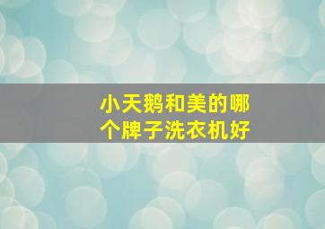 小天鹅和美的哪个牌子洗衣机好