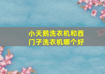 小天鹅洗衣机和西门子洗衣机哪个好