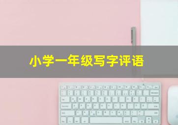 小学一年级写字评语