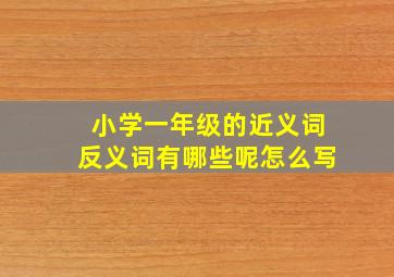 小学一年级的近义词反义词有哪些呢怎么写