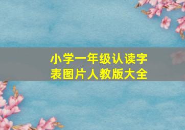 小学一年级认读字表图片人教版大全