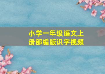 小学一年级语文上册部编版识字视频