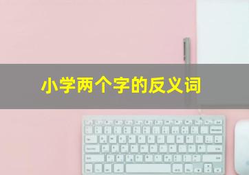 小学两个字的反义词