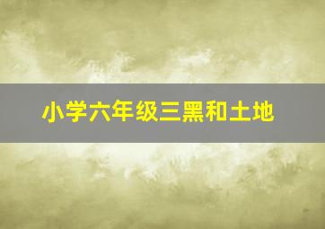 小学六年级三黑和土地