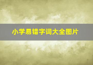 小学易错字词大全图片