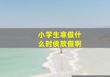 小学生寒假什么时侯放假啊