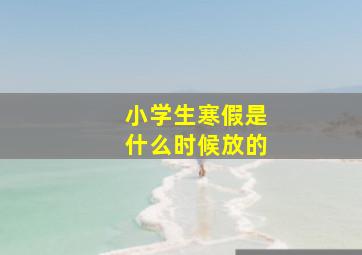 小学生寒假是什么时候放的