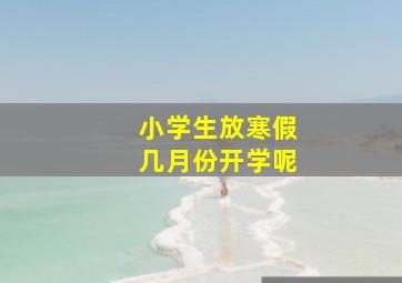 小学生放寒假几月份开学呢