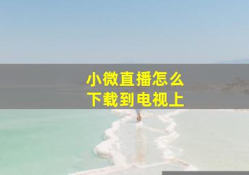 小微直播怎么下载到电视上