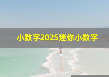 小数字2025迷你小数字