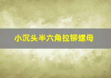 小沉头半六角拉铆螺母