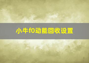 小牛f0动能回收设置