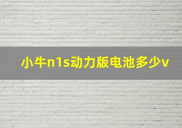 小牛n1s动力版电池多少v