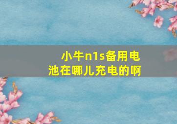 小牛n1s备用电池在哪儿充电的啊