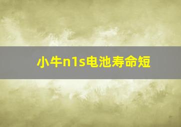 小牛n1s电池寿命短