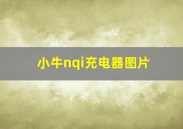 小牛nqi充电器图片